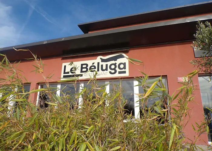 Ibis Pays De Somme Albert